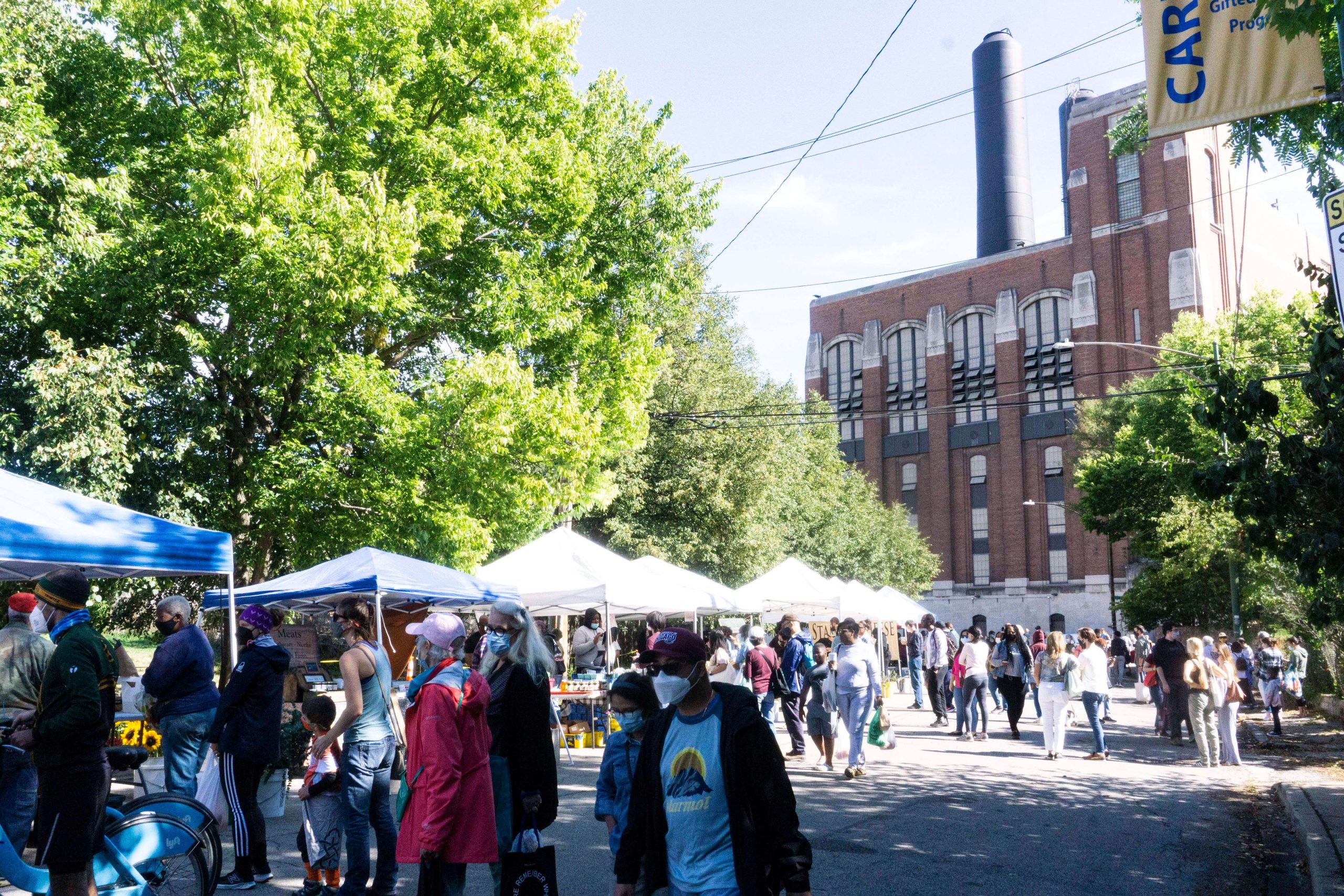 Several people in the foreground browse blue and white vendor tents at and outdoor farmers market. It is sunny and the sky is blue. In the background, there are trees and a large brown building.
